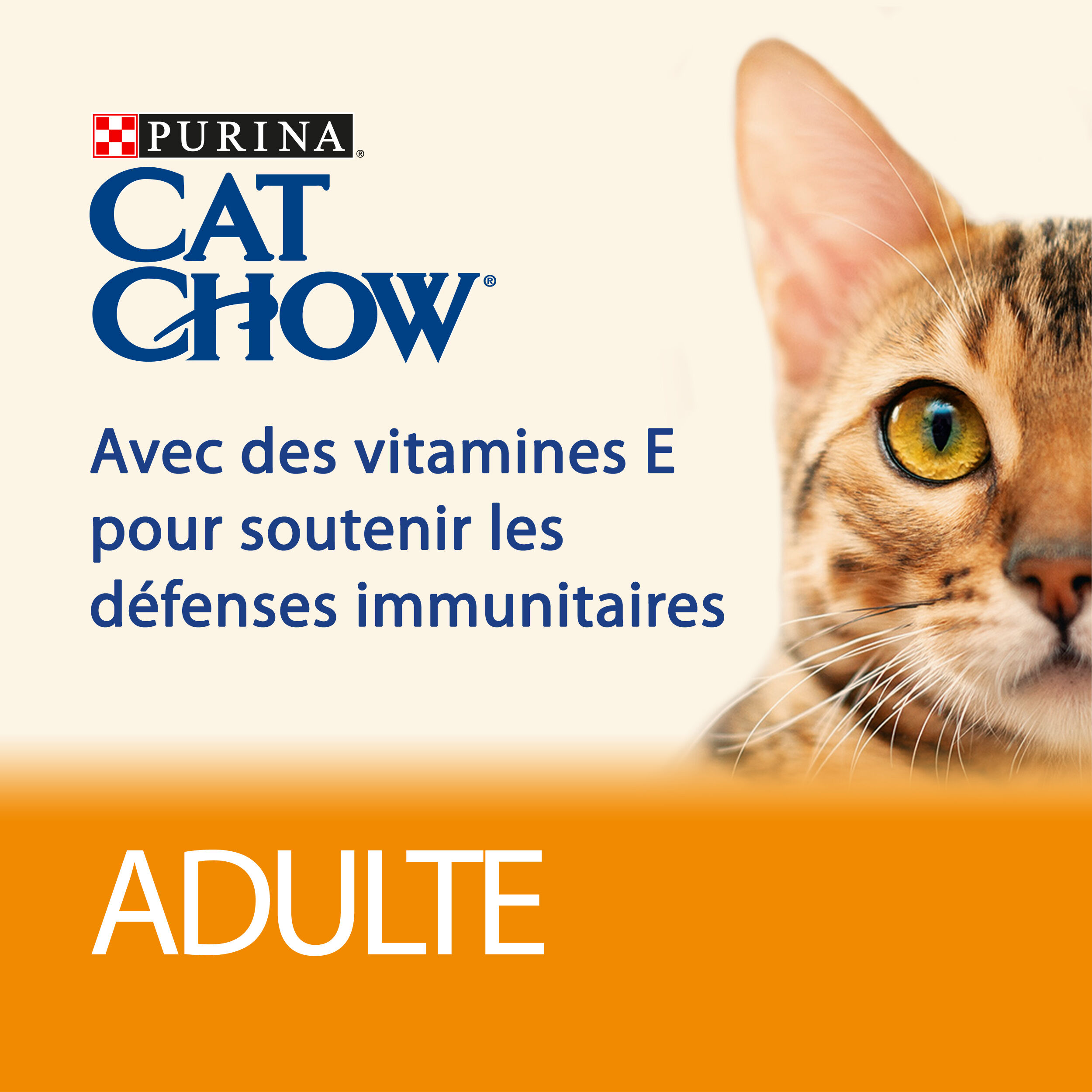 Cat Chow - Croquettes Adult Riche en Saumon pour Chats - 10Kg Image num&eacute;ro 12