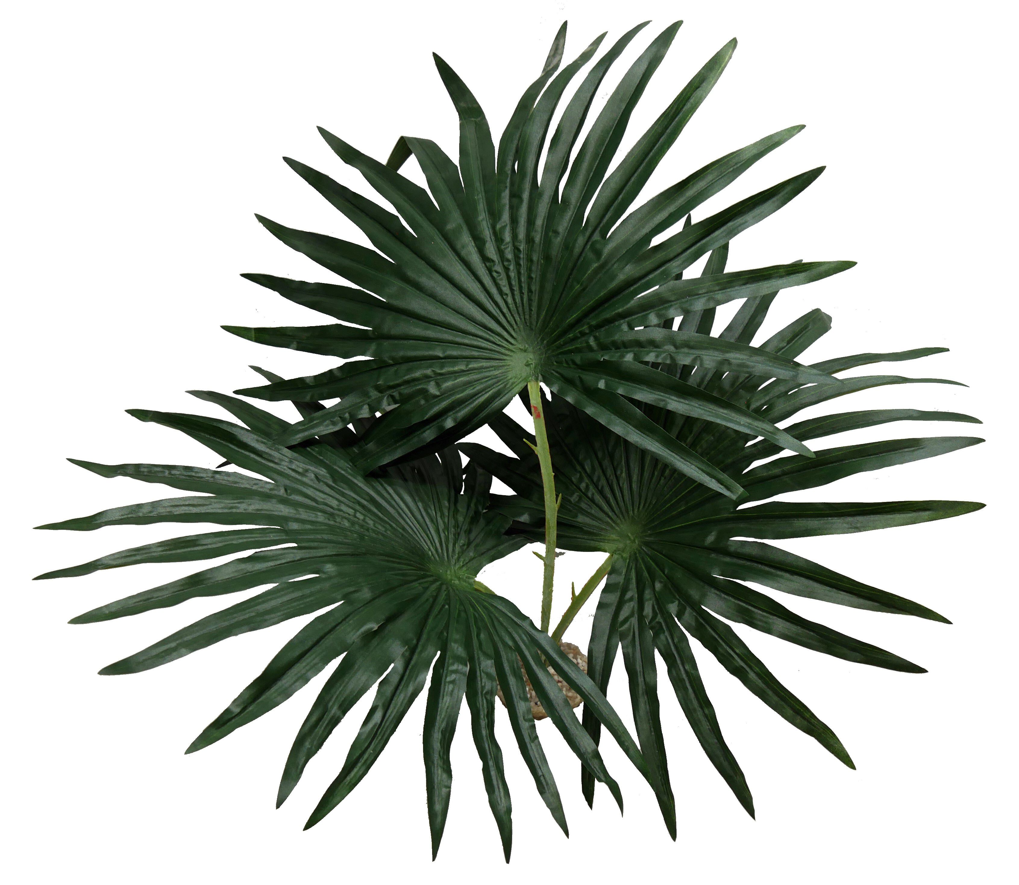 Labeo - D&eacute;coration Palmier Chamaerops pour Terrarium - PM Image num&eacute;ro 1