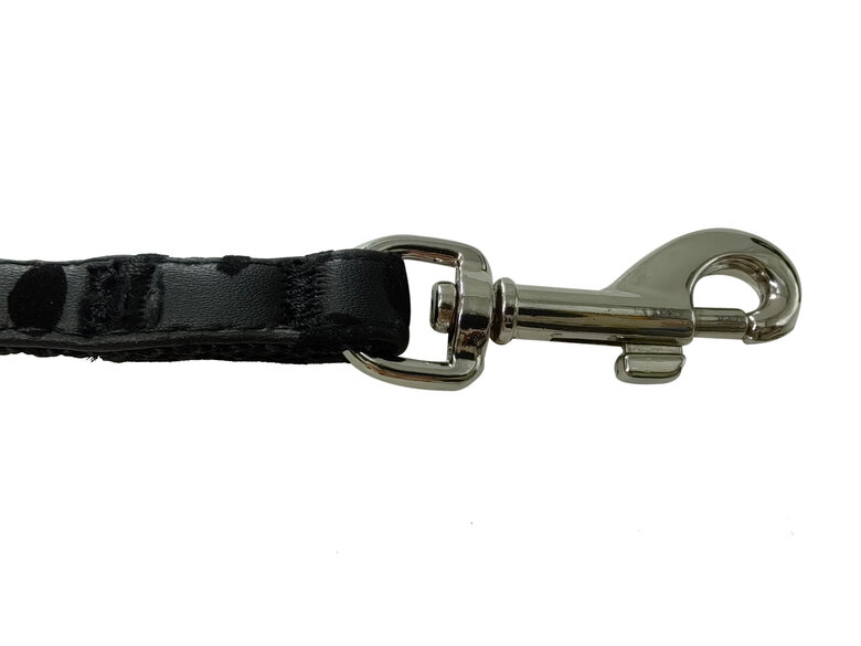 Gotoo - Set Funny pour Chat - Noir Image numéro 4 Gotoo - Set Funny pour Chat - Noir Image numéro 4