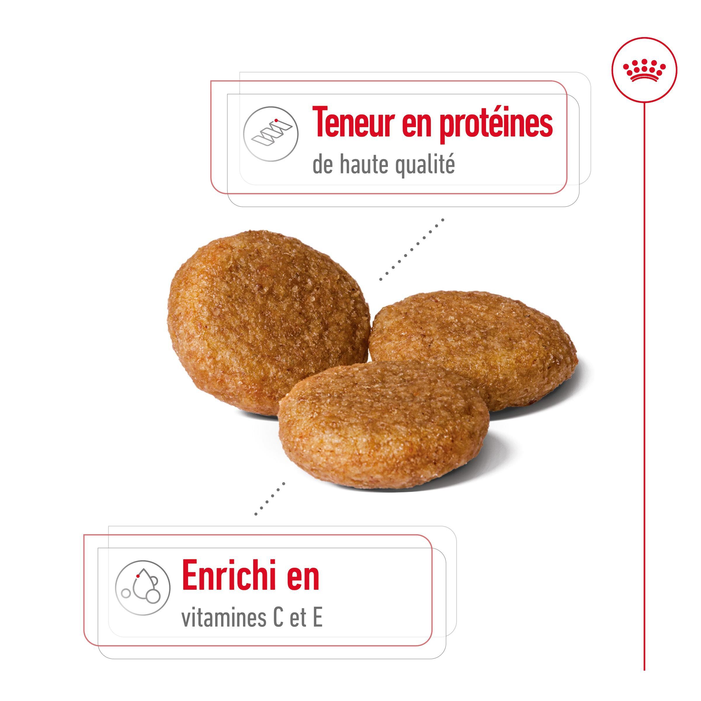 Royal Canin - Croquettes Medium Adult pour Chien de Taille Moyenne - 4Kg Image num&eacute;ro 2