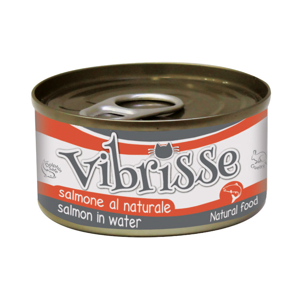 Vibrisse - P&acirc;t&eacute;e Natural Food au Saumon pour chats - 70g Image num&eacute;ro 1