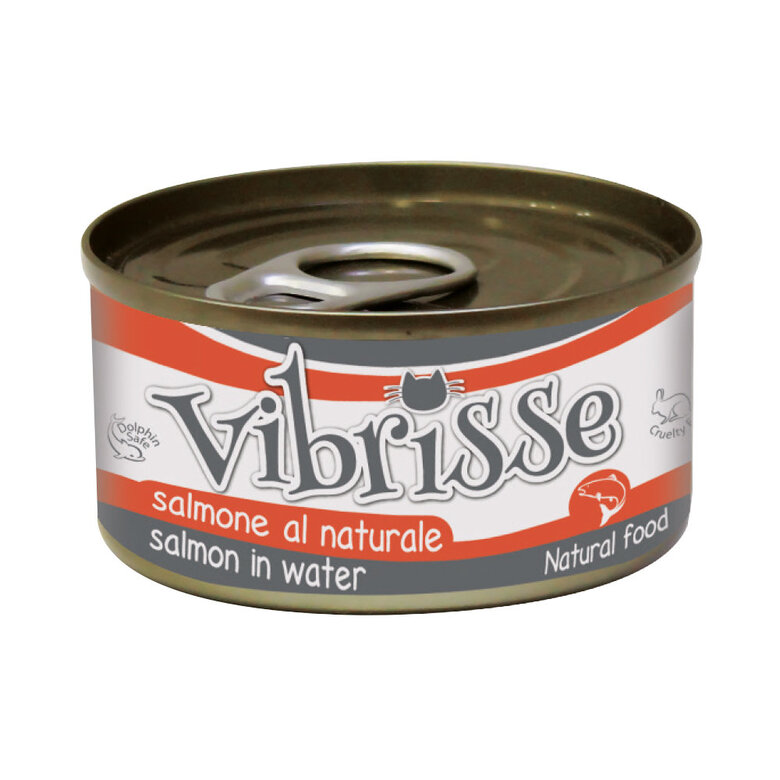 Vibrisse - Pâtée Natural Food au Saumon pour chats - 70g Image numéro 1 Vibrisse - Pâtée Natural Food au Saumon pour chats - 70g Image numéro 1