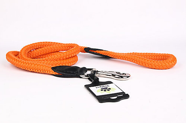 Yogipet - Laisse Corde 1/120cm pour Chien - Orange image number null