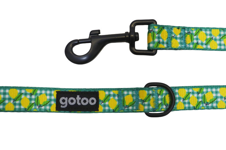 Gotoo - Laisse Vichy Jaune pour Chien Image numéro 2 Gotoo - Laisse Vichy Jaune pour Chien Image numéro 2