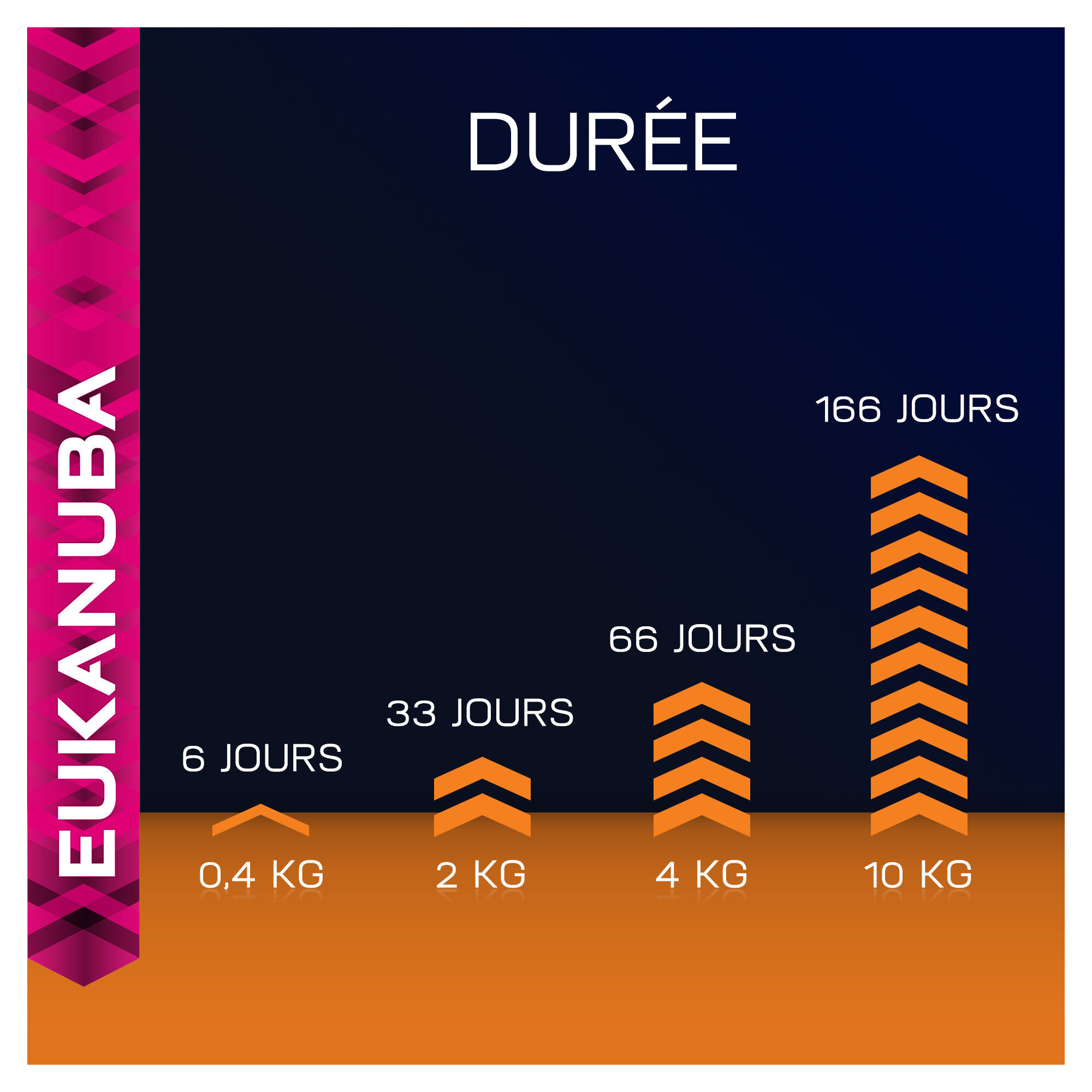 Eukanuba - Croquettes Top Condition 1+ au Poulet et Foie pour Chat Image num&eacute;ro 10
