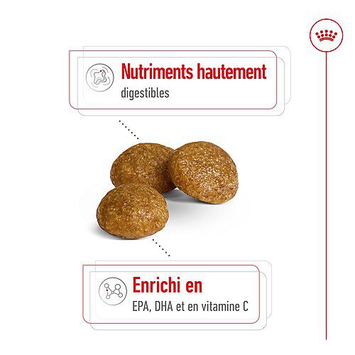 Royal Canin - Croquettes X Small Adult pour Petits Chiens - 3Kg Image num&eacute;ro 10