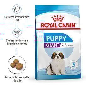 Royal Canin - Croquettes Giant Puppy pour Chiot