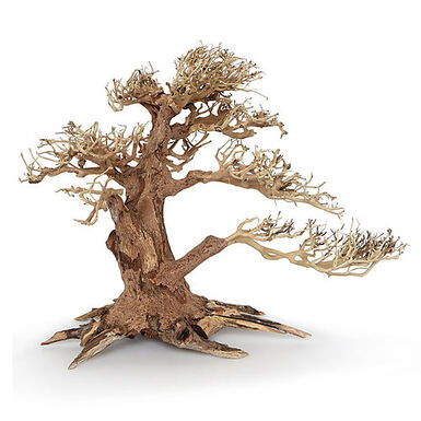 Amtra -  Racine Naturelle Oriental Wind 4 - L