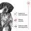 Royal Canin - Pâtée en Mousse Medium Ageing Adult M - 410g Indicateur image numéro 3
