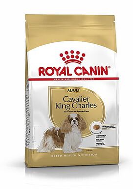 Royal Canin - Croquettes Cavalier King Charles pour Chien Adulte