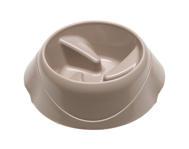 Ferplast - Ecuelle Anti-glouton Magnus Slow Gris - S Image numéro 1 Ferplast - Ecuelle Anti-glouton Magnus Slow Gris - S Image numéro 1