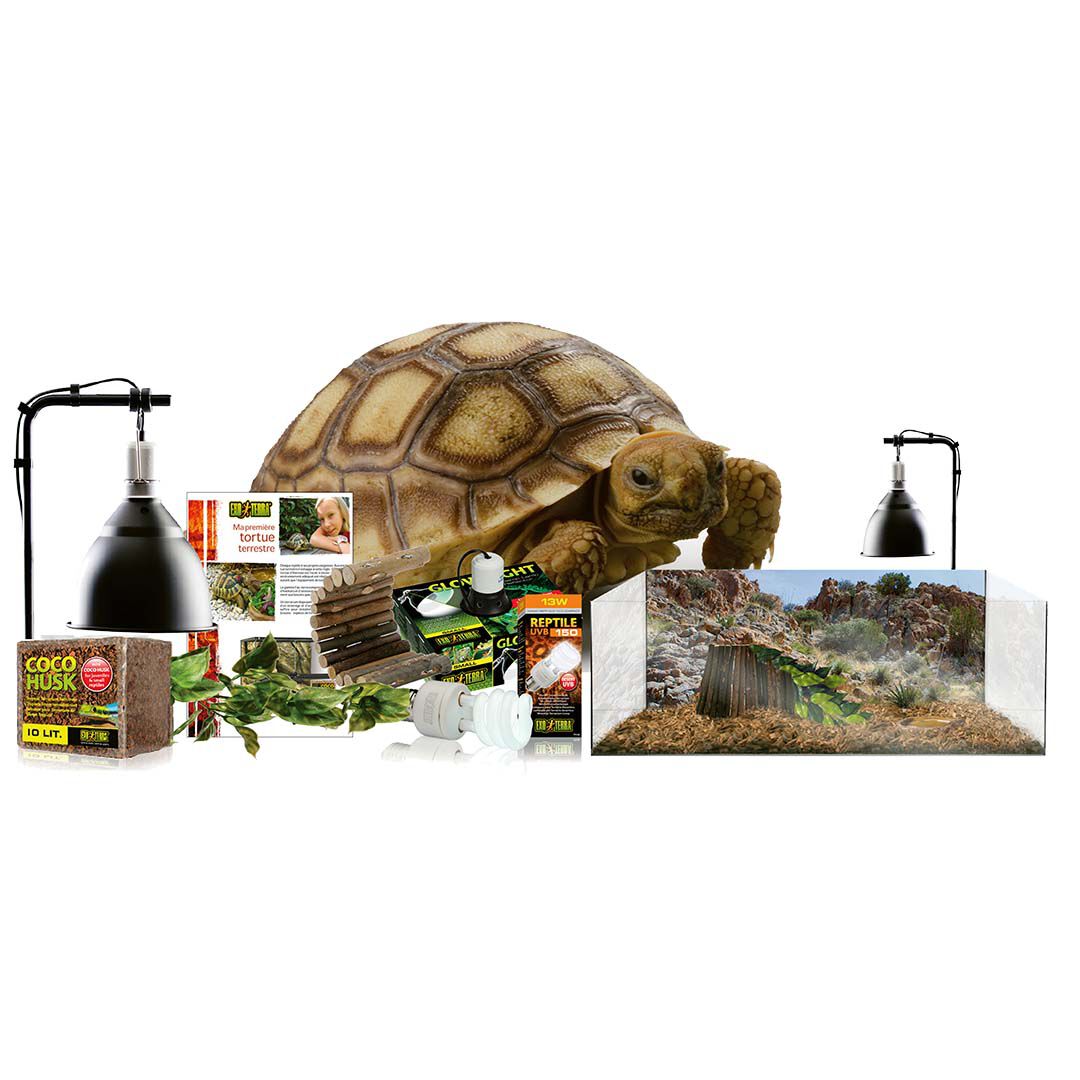 Exo Terra - Terrarium tortue Kit - 60x35x23cm Image num&eacute;ro 2