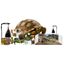 Exo Terra - Terrarium tortue Kit - 60x35x23cm Indicateur image numéro 2