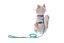 Ferribiella - Ensemble Laisse + Harnais R&eacute;glable Bleu pour Chats - L Indicateur image num&eacute;ro 2