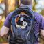 Kurgo - Sac A Dos Gtrain K9 pour Chiens - Bleu Marine Indicateur image numéro 2