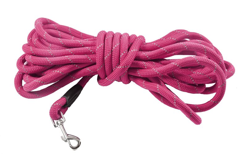 Bobby - Longe Walk Fuchsia pour Chiens - 5M image number null