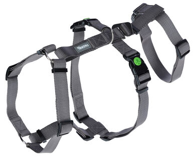 Kerbl - Harnais Antipanique Miami Gris pour Chiens - 38-52cm/15mm