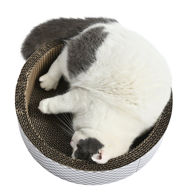 Leeby - Griffoir Funny en Carton Vichy pour Chats - 40cm Image numéro 6 Leeby - Griffoir Funny en Carton Vichy pour Chats - 40cm Image numéro 6