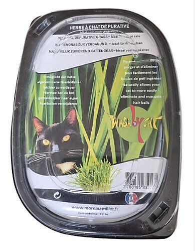 WasaByCat - Herbe &agrave; Chat D&eacute;purative - 170g Image num&eacute;ro 1