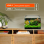 Dennerle - Comprimés d'engrais pour Racines Plant Care Pro Root - x30 Indicateur image numéro 4