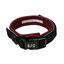 Duvoplus - Collier Fashion Ultimate Fit Comfy Prune pour Chiens XS - 30-33cm Indicateur image numéro 1