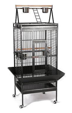 United Bird - Cage Galio avec Roulettes pour Perroquets - Anthracite