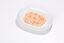 Almo Nature - Pâtée en Boîte HFC Natural Poulet avec Fromage pour Chat - 70g Indicateur image numéro 4