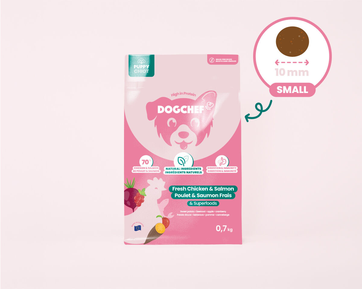 Dog Chef - Croquettes au Poulet et Saumon Frais pour Chiots - 700g Image num&eacute;ro 4