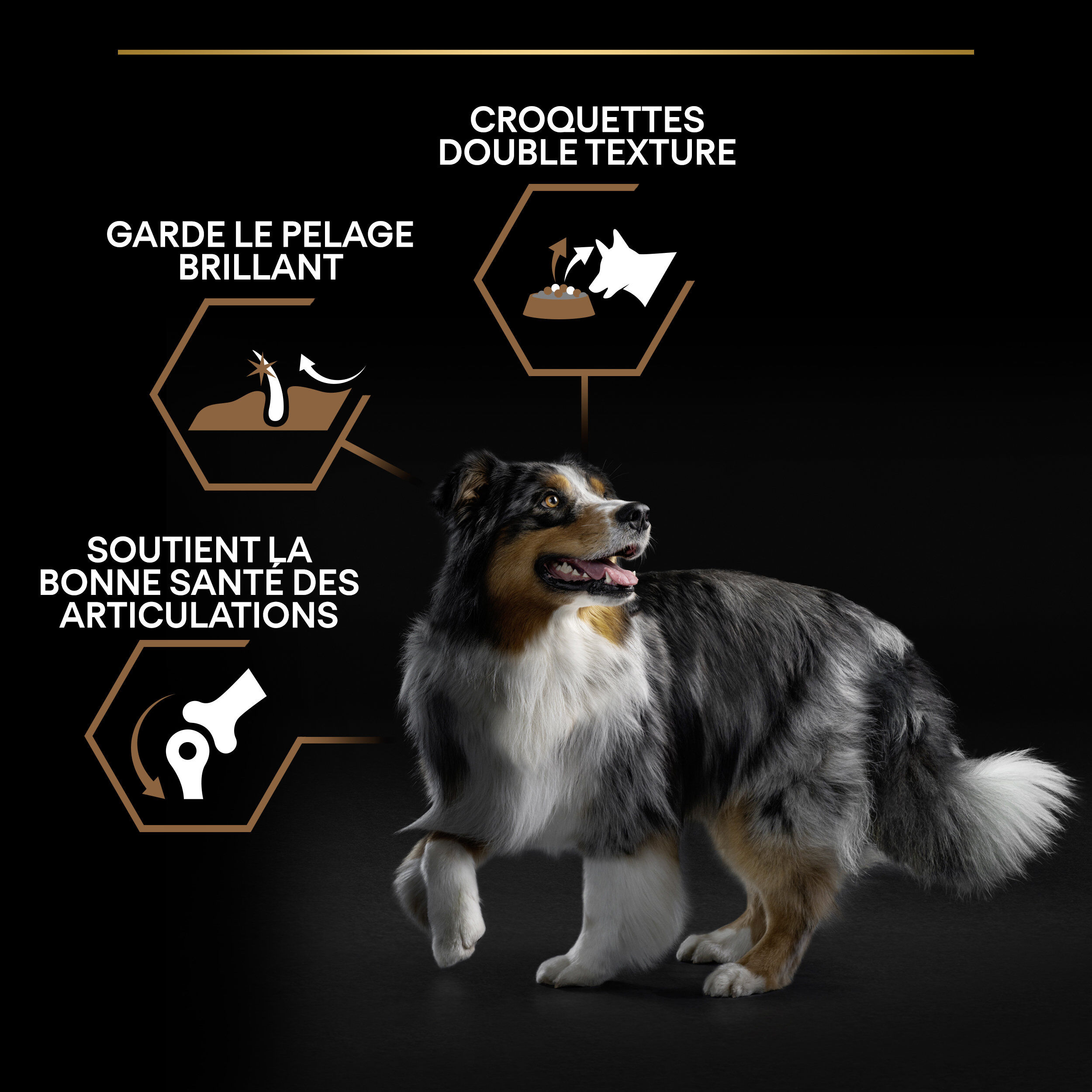 Pro Plan - Croquettes Duo D&eacute;lice Adult au Poulet pour Chien Adulte - 10Kg Image num&eacute;ro 8