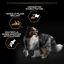 Pro Plan - Croquettes Duo D&eacute;lice Adult au Poulet pour Chien Adulte - 10Kg Indicateur image num&eacute;ro 8