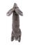 Anka - Jouet Lapin No Stuffing pour Chiens - 35cm Indicateur image num&eacute;ro 2