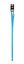 Animalis - Laisse Basic Bleu pour Chien - 12mm et 120cm Indicateur image numéro 2