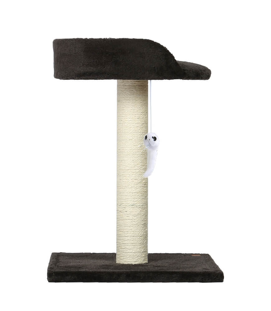 Animalis - Arbre &agrave; Chat Poteau avec Sofa - Noir Image num&eacute;ro 2