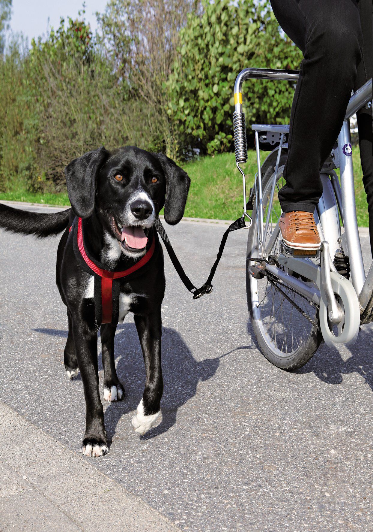 Trixie - Kit de S&eacute;paration V&eacute;lo Biker-Set pour Grand Chien Image num&eacute;ro 1