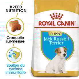 Royal Canin - Croquettes PUPPY JACK RUSSELL TERRIER Pour CHIOT