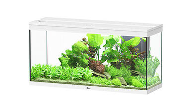 Aquatlantis - Aquarium SPLENDID 120 Led 2.0 Equipé Blanc - 240L