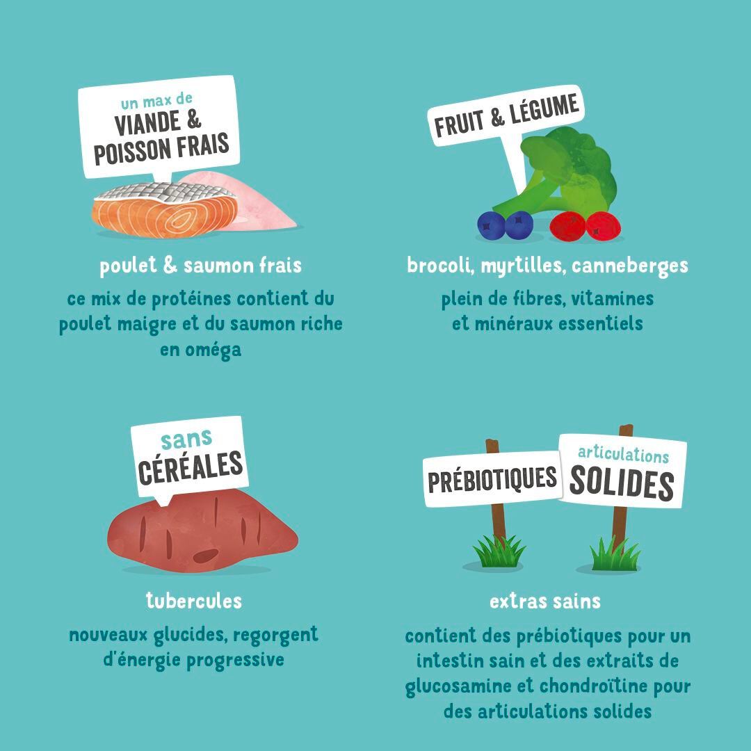 Edgard & Cooper - Croquettes Poulet et Saumon pour Chien Senior - 700g Image num&eacute;ro 5