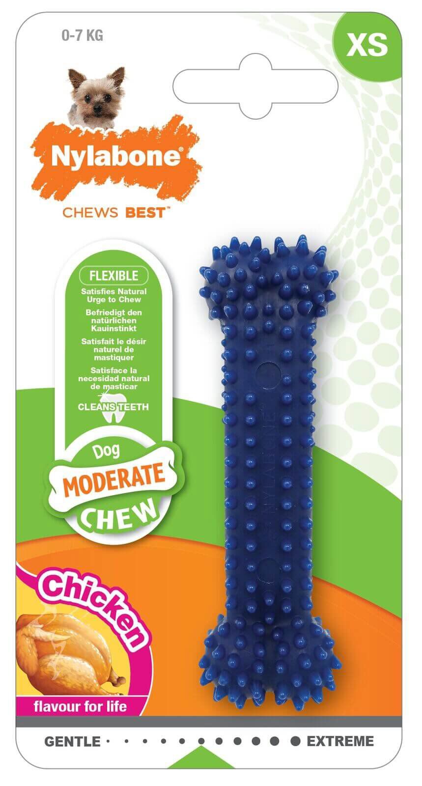 Nylabone - Jouet Os Dental Moderate Chew pour Chien - XS Image num&eacute;ro 1