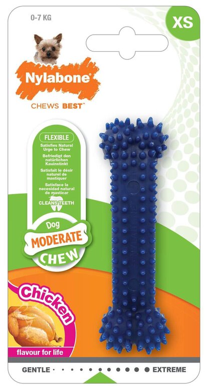 Nylabone - Jouet Os Dental Moderate Chew pour Chien - XS Image numéro 1 Nylabone - Jouet Os Dental Moderate Chew pour Chien - XS Image numéro 1
