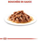 Royal Canin - Sachets Kitten Instinctive en Sauce pour Chat - 12x85g image number null