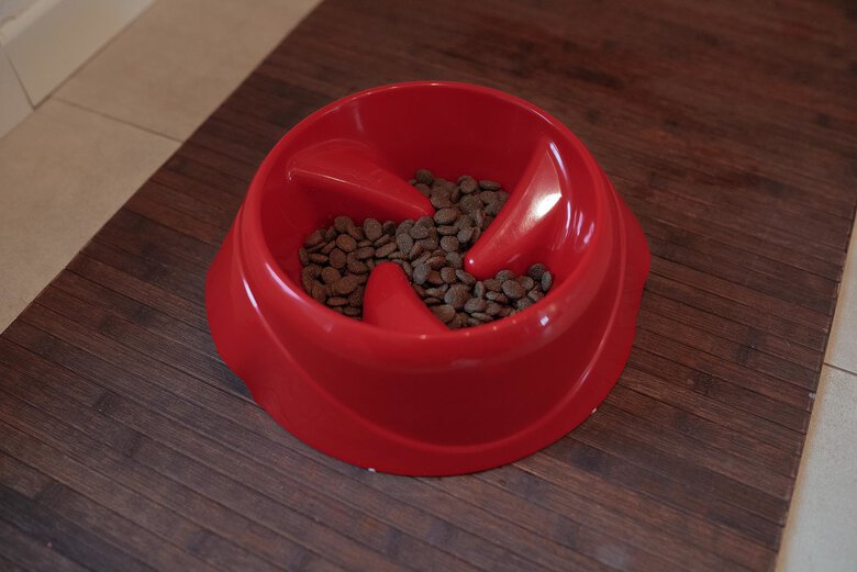 Ferplast - Ecuelle Anti-glouton Magnus Slow Rouge - L Image numéro 4 Ferplast - Ecuelle Anti-glouton Magnus Slow Rouge - L Image numéro 4