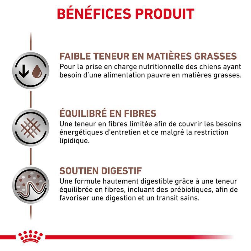 Royal Canin - Croquettes Veterinary Diet Gastro Intestinal Low Fat Pour Chiens - 6kg Image num&eacute;ro 4