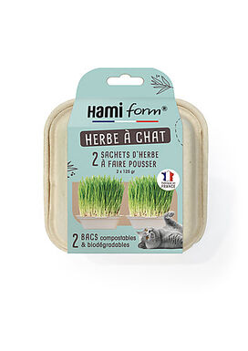 Hamiform - Herbe à Chat Prêt à faire Pousser - 2 x 125g