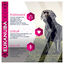 Eukanuba - Croquettes Breed Specific pour Labrador Retriever - 12Kg Indicateur image numéro 4
