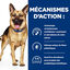 Hill's - Croquettes Prescription Diet Gastrointestinal Biome pour Chiens - 1,5Kg Indicateur image numéro 5