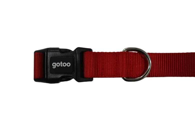 Gotoo - Collier Essentials en Nylon Rouge pour Chien - XS Image numéro 3 Gotoo - Collier Essentials en Nylon Rouge pour Chien - XS Image numéro 3