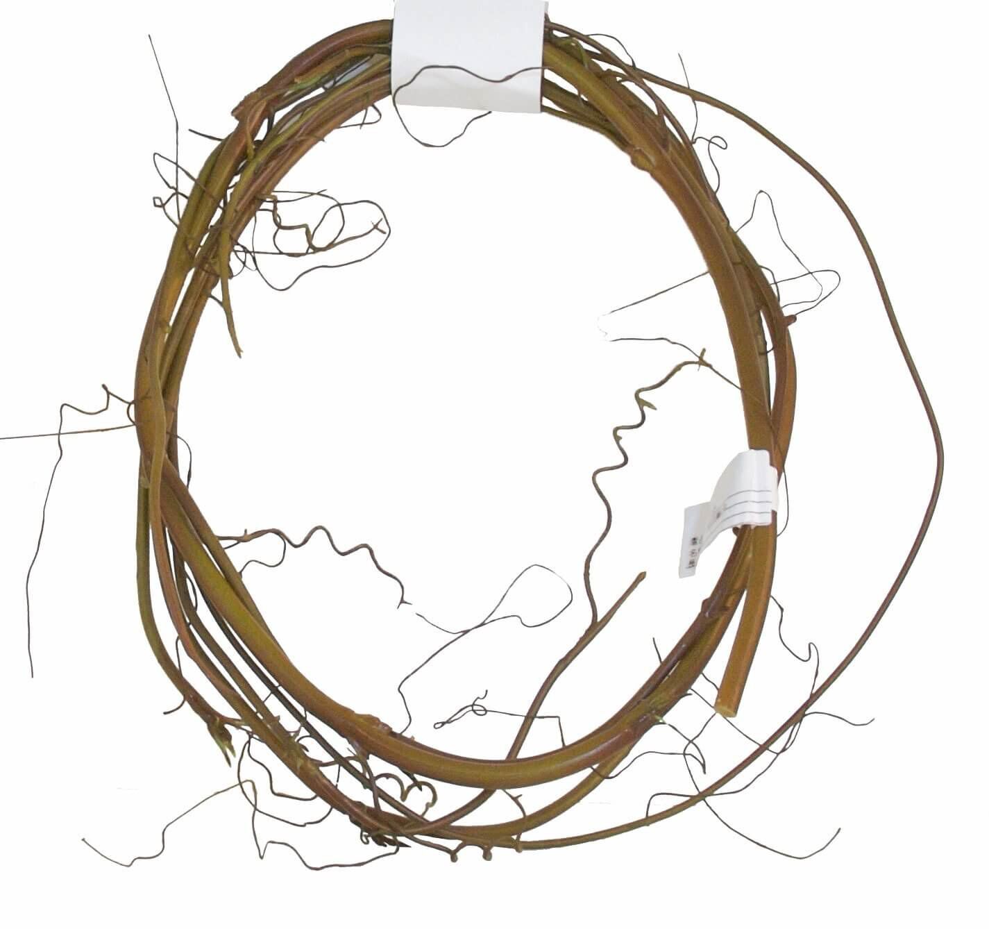 Zoomed - Plante Flexible Vine pour Terrarium Image num&eacute;ro 2