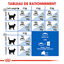 Royal Canin - Croquettes Indoor 27 pour Chat - 10Kg Indicateur image numéro 2