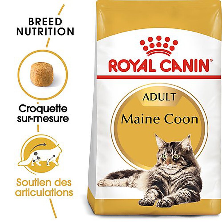 Royal Canin - Croquettes Maine Coon pour Chat Adulte image number null