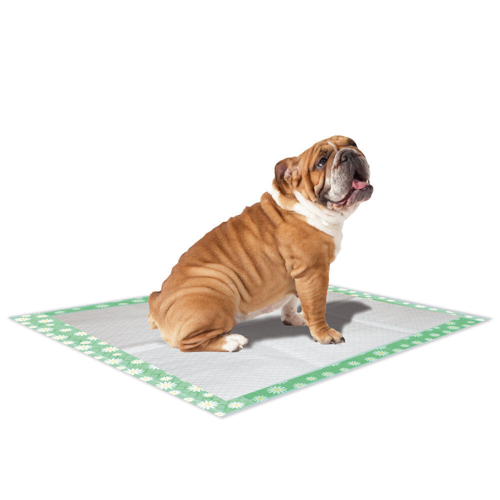 Croci - Tapis Hyg&eacute;nique Super Nappy Daisy pour Chiots - 84x57cm Image num&eacute;ro 1